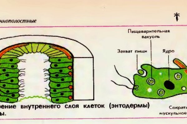 Кракен маркет зайти