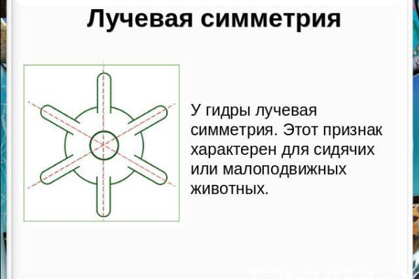 Tor kraken маркет