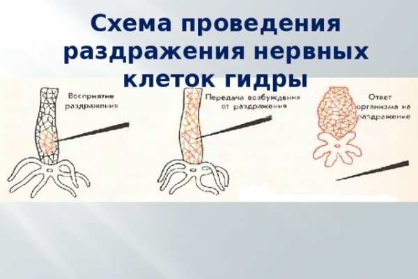 Кракен вход kr2web in