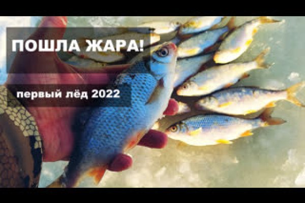 Kraken ссылка krakens13 at