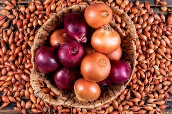 Кракен зеркало onion
