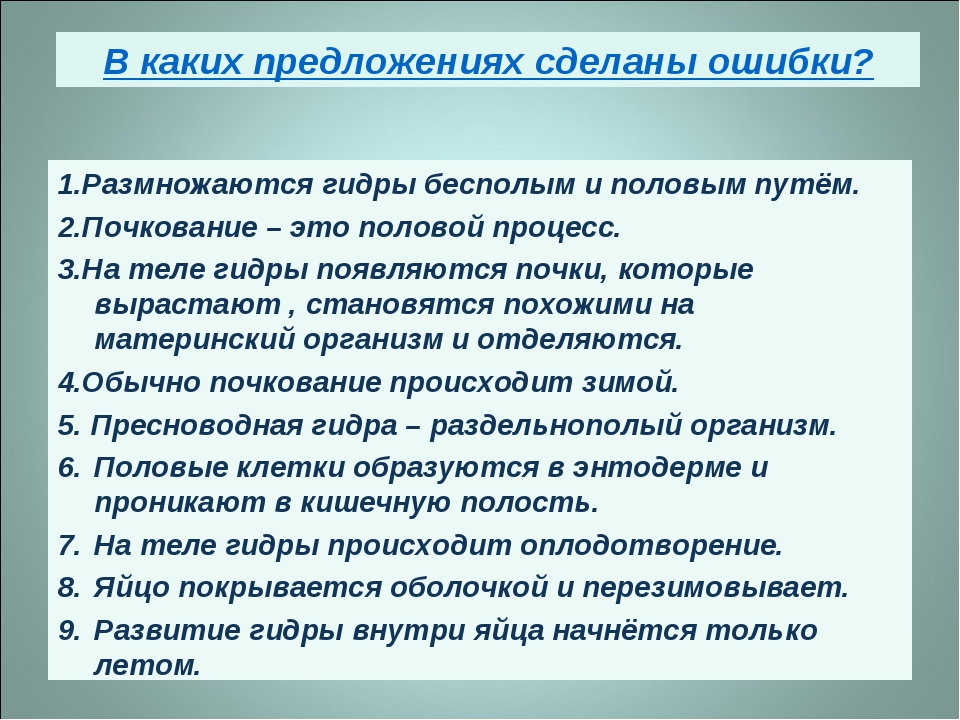 Кракен это гидра